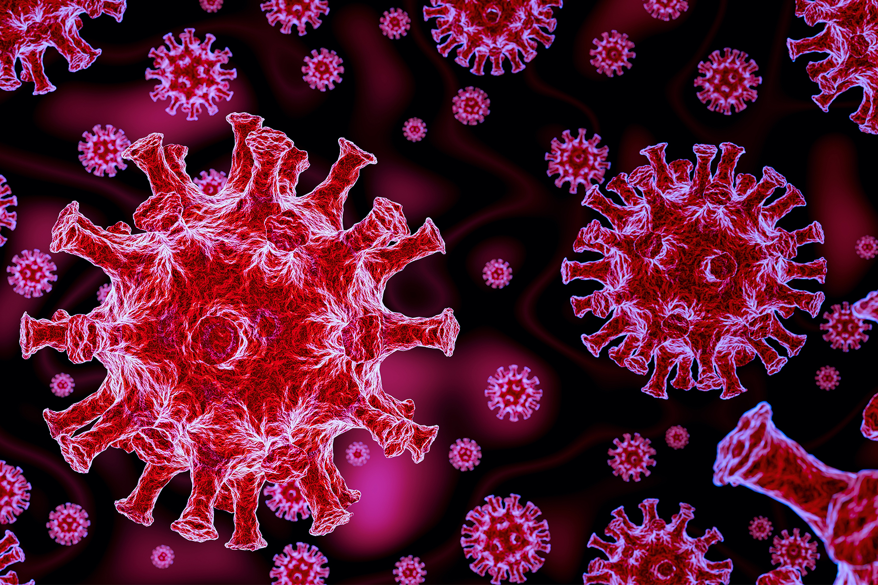 Maladie-du-coronavirus