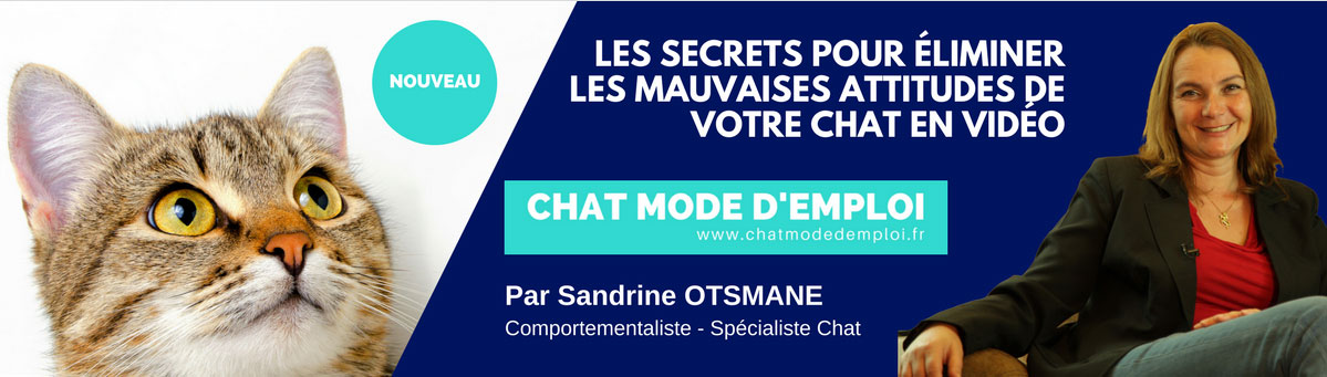 chat-mode-d'emploi