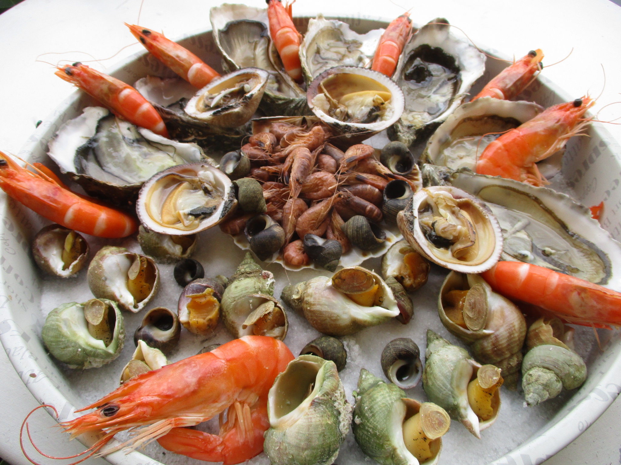 fruits-de-mer-grossesse