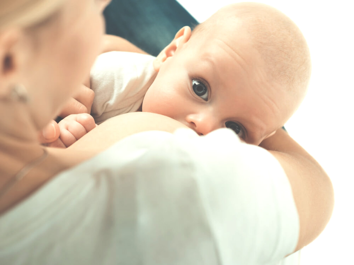 lactation-image